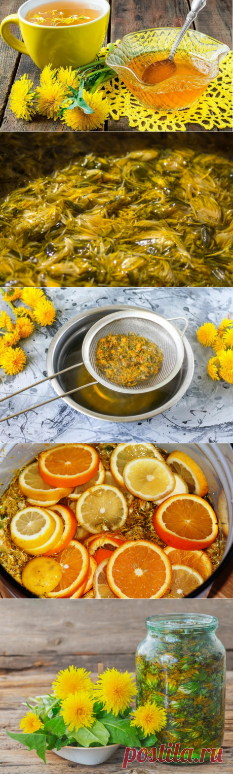 Полезные свойства одуванчика варенье из одуванчика рецепты с фото