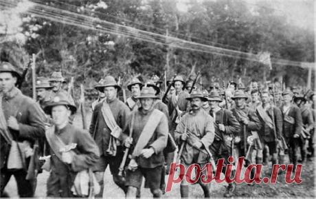 Загадка исчезнувших солдат Норфолкского полка