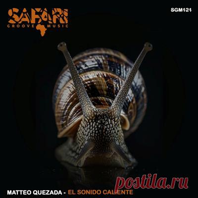 Matteo Quezada – El Sonido Caliente