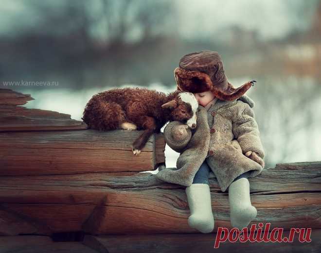 25 самых впечатляющих фотографий 2015