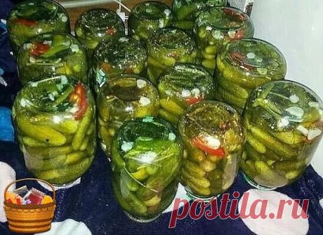 Консервирование огурцов холодной водой

Законсервировать огурцы можно и на даче с использованием только холодной воды, такой способ консервации занимает намного меньше времени. Получаются огурцы хрустящими в меру солеными, так как чистая вода забирает лишнюю соль. Рассол с огурцов очень вкусен, его можно использовать для приготовления рассольника. Хранить огурцы, консервированные холодным способом, можно до трех лет в шкафу городской квартиры. В подробном рецепте указаны п...