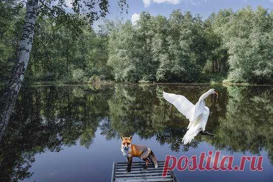 МАСЛЕННИКОВ ИГОРЬ КИПРИЯНОВИЧ