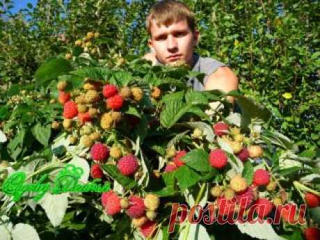 (99) Одноклассники