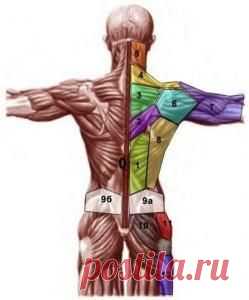 Проекция психосоматических проблем на теле