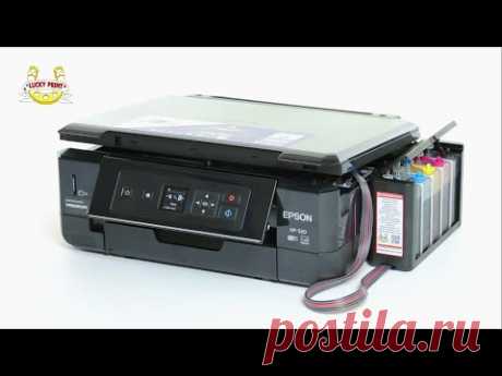 Обзор МФУ Epson Expression Premium XP-520