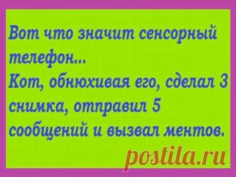 Лучшие анекдоты с просторов Сети, которые вмиг поднимут вам настроение! - Калейдоскоп событий