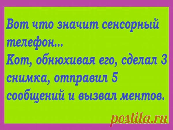 Лучшие анекдоты с просторов Сети, которые вмиг поднимут вам настроение! - Калейдоскоп событий