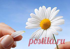 Гадание онлайн | Сборник бесплатных гаданий – 1001 ГОРОСКОП