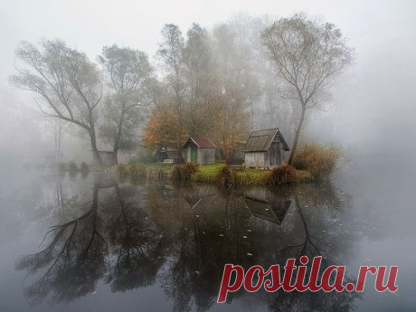 (8) Одноклассники