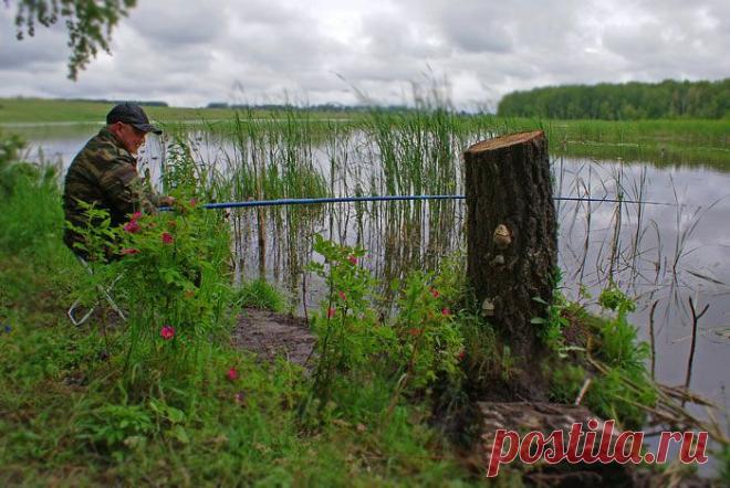 Если нет клева