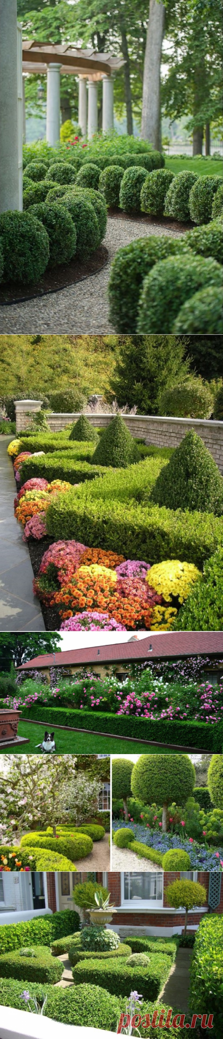 Так искусно подстричь куст, как он, не может никто. 10 идей для фигурной стрижки! — Копилочка полезных советов