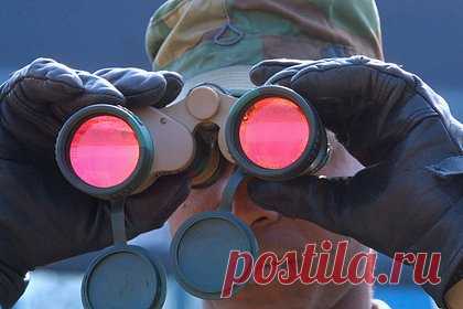 США перебросили системы противодействия дронам на восток НАТО