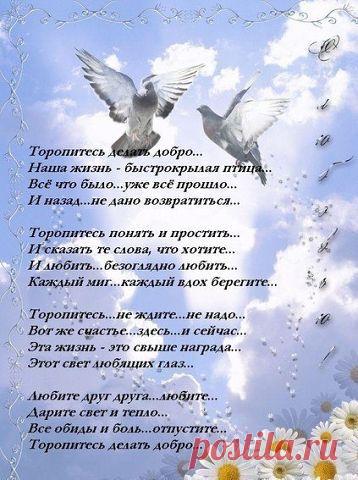 Фразы,Высказывания,Стихи,Цитаты,Видео,Картинки.