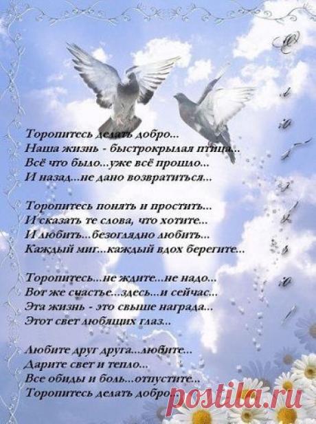 Фразы,Высказывания,Стихи,Цитаты,Видео,Картинки.