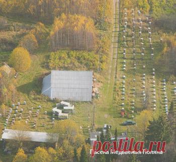 Пасеки компании «Тенториум» - Мои файлы - Каталог файлов - Тенториум Самара. Продукты пчеловодства.