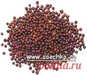 Горчица черная (французская, настоящая) | Saechka.Ru - рецепты с фото