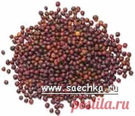 Горчица черная (французская, настоящая) | Saechka.Ru - рецепты с фото