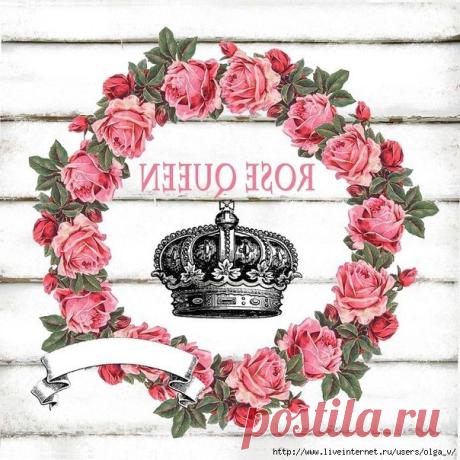 Марина Прибыткина