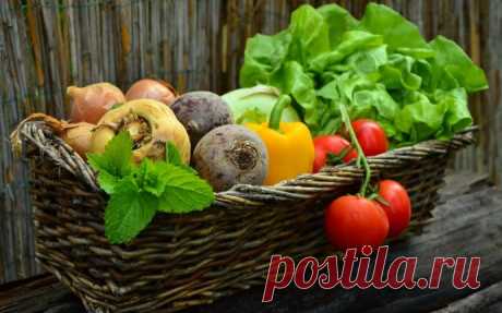 6 вегетарианских блюд на каждый день - Дело Вкуса
