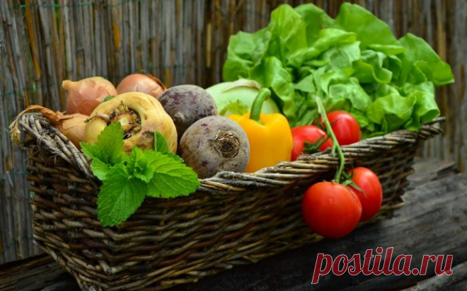 6 вегетарианских блюд на каждый день - Дело Вкуса