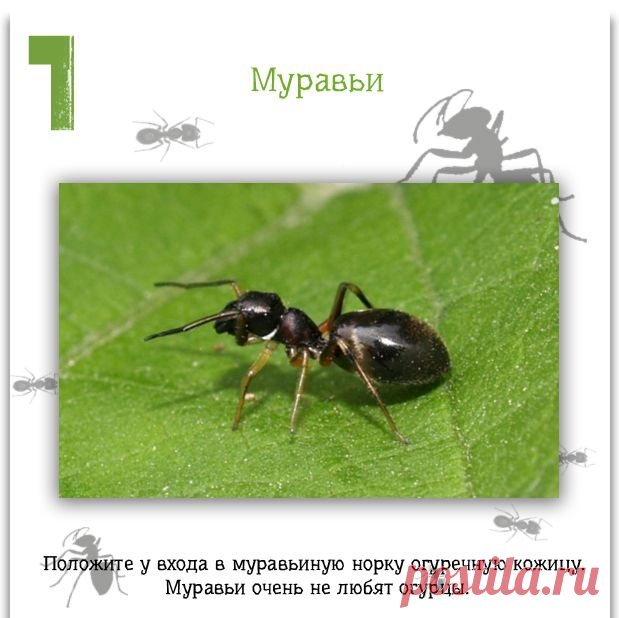 Полезные советы | Записи в рубрике Полезные советы | Здесь еще интересней