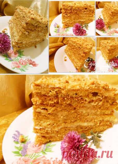 Медовик по-новому | Кулинарные рецепты от «Едим дома!»