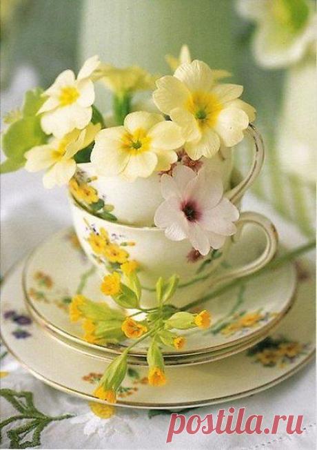 Интересные новости