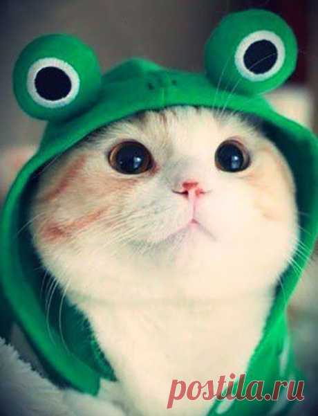Pinterest