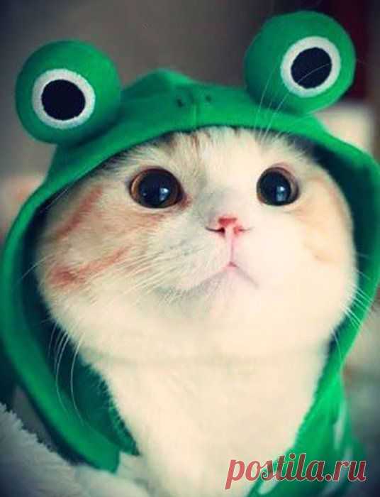 Pinterest