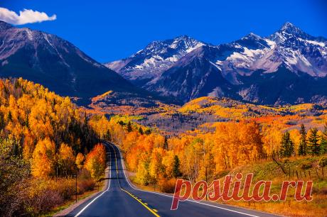 Nature photos
