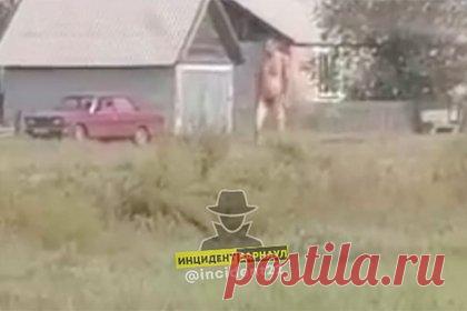 Россиянин избил жену, сжег машину и пошел гулять голым по селу. В Алтайском крае житель села Преградинка избил жену и сжег машину, а на следующий день разделся и отправился гулять обнаженным по улицам. Очевидцы сняли россиянина на видео. На кадрах видно, как голый мужчина идет вдоль дороги и машет в знак приветствия прохожим и проезжающим мимо автомобилям.