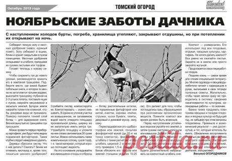 Ноябрьские заботы дачника