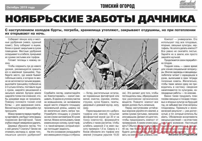 Ноябрьские заботы дачника