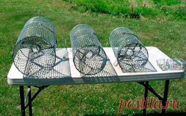 Раколовка своими руками из сетки: чертежи, фото, видео | Самоделки своими руками