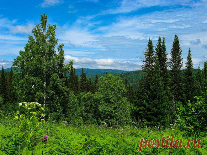 ФОТОМАСТЕРСКАЯ ПРИРОДЫ
Панов Александр