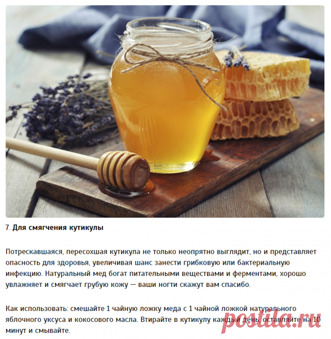 Варианты применения мёда — Делимся советами