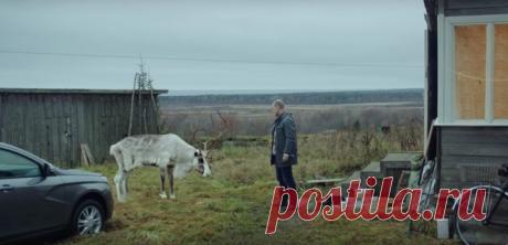 «Нужно было найти новорожденных младенцев, договориться о съемках в Русском музее, получить разрешение на съемку &quot;Черного квадрата&quot;, найти и транспортировать оленя, отыскать дрессированную белуху и подходящую дрессировщицу». Креативная команда агентства More, создавшая ролик для LADA Vesta, рассказала, как проходили съемки, и почему реклама не выйдет на ТВ