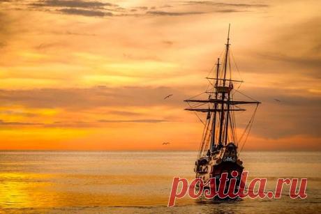 Разгадана 2000-летняя тайна разрушительного корабельного червя Они сбивали с толку древнегреческий флот, способствовали кораблекрушению Христофора Колумба, способствовали затоплению испанской армады и обрушили в море причалы в заливе Сан-Франциско, но до сих пор ученые не могли точно определить, как именно корабельные черви &mdash; семейство моллюски...