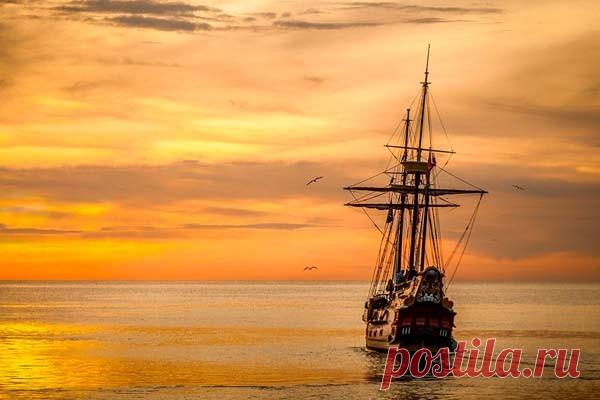 Разгадана 2000-летняя тайна разрушительного корабельного червя Они сбивали с толку древнегреческий флот, способствовали кораблекрушению Христофора Колумба, способствовали затоплению испанской армады и обрушили в море причалы в заливе Сан-Франциско, но до сих пор ученые не могли точно определить, как именно корабельные черви — семейство моллюски...