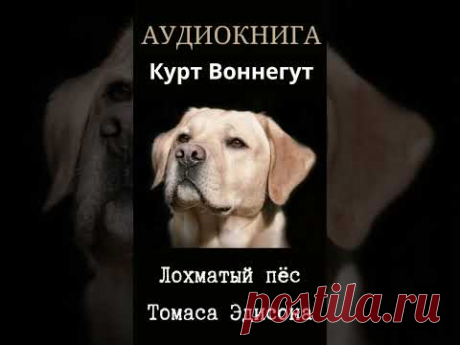 АУДИОКНИГА_ЛОХМАТЫЙ ПЁС ТОМАСА ЭДИСОНА_КУРТ ВОННЕГУТ