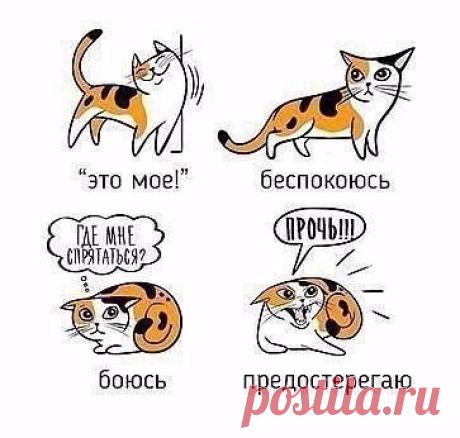 Интересные новости