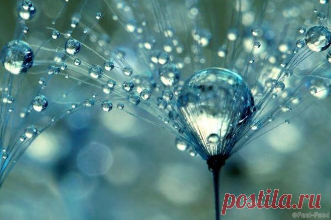 17 впечатляющих крупных планов объектов, которые мы видим каждый день - Feel-feed.ru