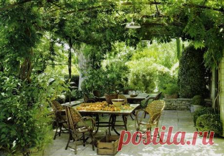 Пергола в саду. Что такое пергола и зачем она нужна?