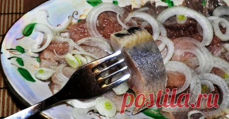 От правильно маринада во многом зависит вкус соленой селедки и удача той закуски. Которую вы