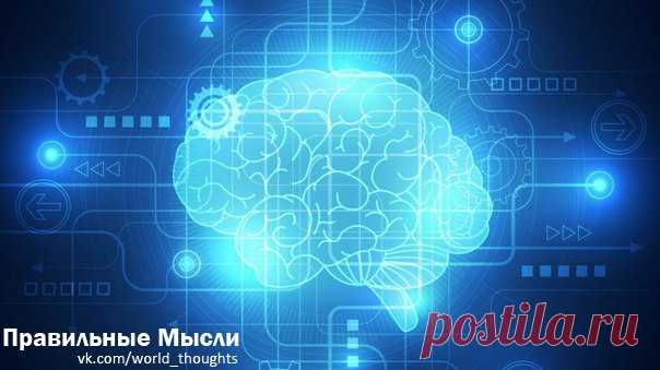 14 сайтов, где можно потренировать мозги / Восприятие бизнеса