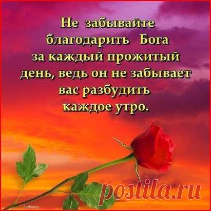 За каждый шаг, за каждый вздох, 
За то, что дал мне Бог. 
За боль, за счастье, за удачу, 
За то что я смеюсь и плачу, 
За то что я ещё люблю, 
За всё Тебя Господь благодарю!