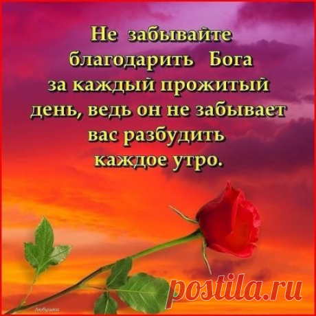 За каждый шаг, за каждый вздох, 
За то, что дал мне Бог. 
За боль, за счастье, за удачу, 
За то что я смеюсь и плачу, 
За то что я ещё люблю, 
За всё Тебя Господь благодарю!