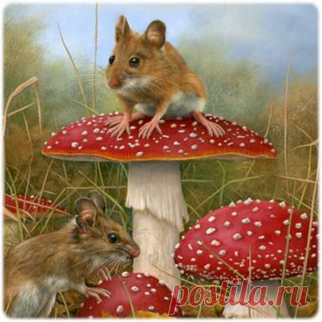 Художник Carl Andrew Whitfield