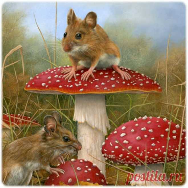 Художник Carl Andrew Whitfield