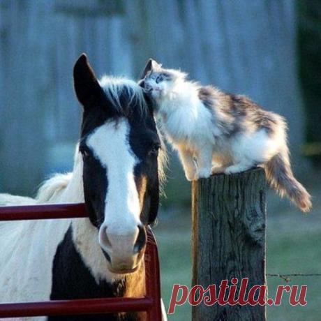 Любители красивых картинок ;) В Кругу Друзей — социальная сеть